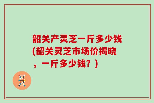 韶关产灵芝一斤多少钱(韶关灵芝市场价揭晓，一斤多少钱？)