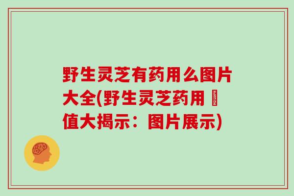 野生灵芝有药用么图片大全(野生灵芝药用價值大揭示：图片展示)