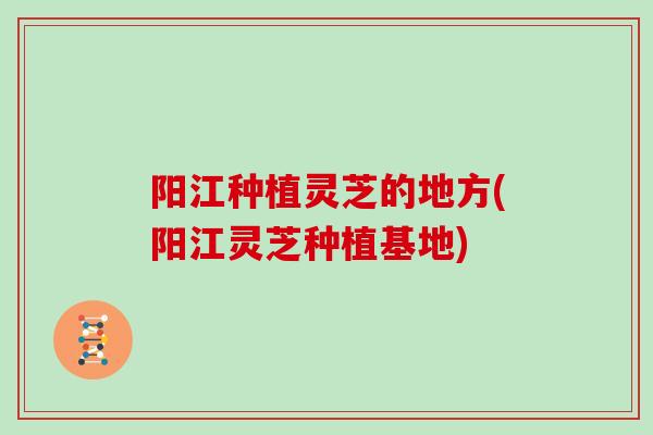 阳江种植灵芝的地方(阳江灵芝种植基地)