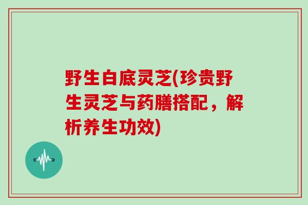 野生白底灵芝(珍贵野生灵芝与药膳搭配，解析养生功效)