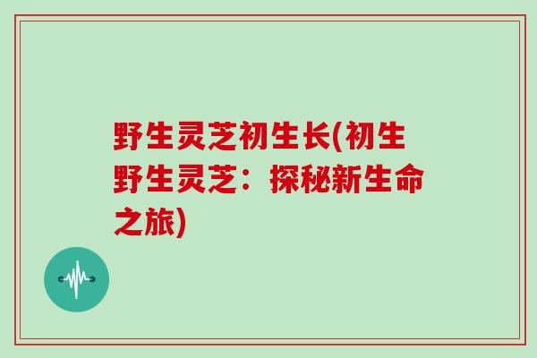 野生灵芝初生长(初生野生灵芝:探秘新生命之旅)-第1张图片-灵芝大师 野生灵芝初生长(初生野生灵芝:探秘新生命之旅)-第1张图片-灵芝大师