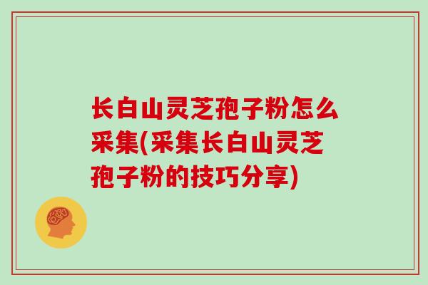 长白山灵芝孢子粉怎么采集(采集长白山灵芝孢子粉的技巧分享)-第1张图片-灵芝大师 长白山灵芝孢子粉怎么采集(采集长白山灵芝孢子粉的技巧分享)-第1张图片-灵芝大师