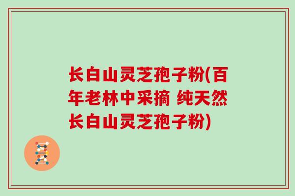 长白山灵芝孢子粉(百年老林中采摘 纯天然长白山灵芝孢子粉)