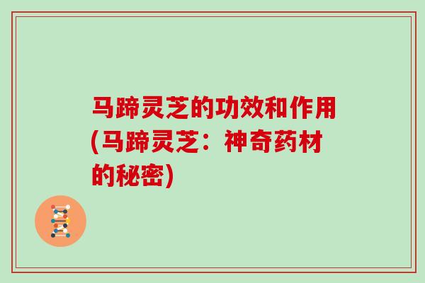 马蹄灵芝的功效和作用(马蹄灵芝：神奇药材的秘密)