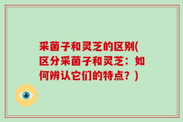 采菌子和灵芝的区别(区分采菌子和灵芝：如何辨认它们的特点？)