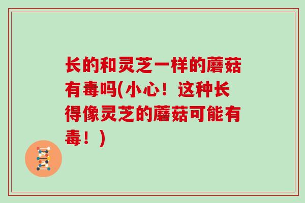 长的和灵芝一样的蘑菇有毒吗(小心！这种长得像灵芝的蘑菇可能有毒！)