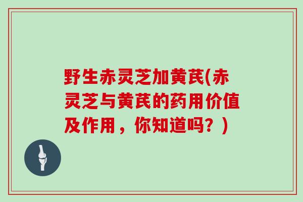 野生赤灵芝加黄芪(赤灵芝与黄芪的药用价值及作用，你知道吗？)