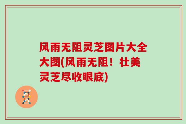 风雨无阻灵芝图片大全大图(风雨无阻！壮美灵芝尽收眼底)