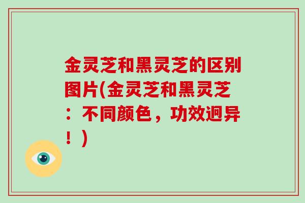 金灵芝和黑灵芝的区别图片(金灵芝和黑灵芝：不同颜色，功效迥异！)