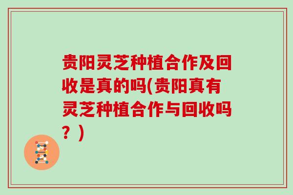 贵阳灵芝种植合作及回收是真的吗(贵阳真有灵芝种植合作与回收吗？)