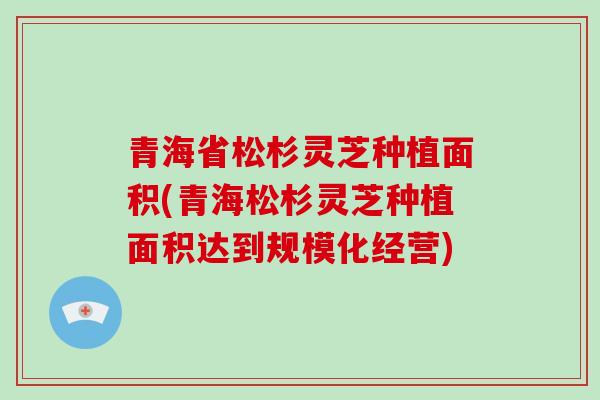 青海省松杉灵芝种植面积(青海松杉灵芝种植面积达到规模化经营)