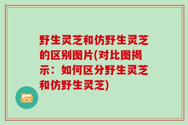野生灵芝和仿野生灵芝的区别图片(对比图揭示：如何区分野生灵芝和仿野生灵芝)