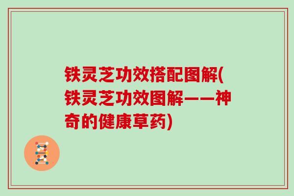 铁灵芝功效搭配图解(铁灵芝功效图解——神奇的健康草药)-第1张图片-灵芝大师 铁灵芝功效搭配图解(铁灵芝功效图解——神奇的健康草药)-第1张图片-灵芝大师