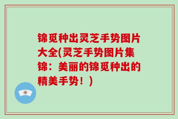 锦觅种出灵芝手势图片大全(灵芝手势图片集锦：美丽的锦觅种出的精美手势！)