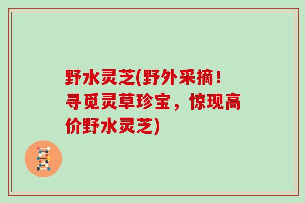 野水灵芝(野外采摘!寻觅灵草珍宝,惊现高价野水灵芝)-第1张图片-灵芝大师 野水灵芝(野外采摘!寻觅灵草珍宝,惊现高价野水灵芝)-第1张图片-灵芝大师