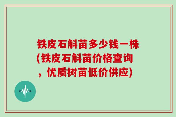 铁皮石斛苗多少钱一株(铁皮石斛苗价格查询,优质树苗低价供应)-第1张图片-灵芝大师 铁皮石斛苗多少钱一株(铁皮石斛苗价格查询,优质树苗低价供应)-第1张图片-灵芝大师