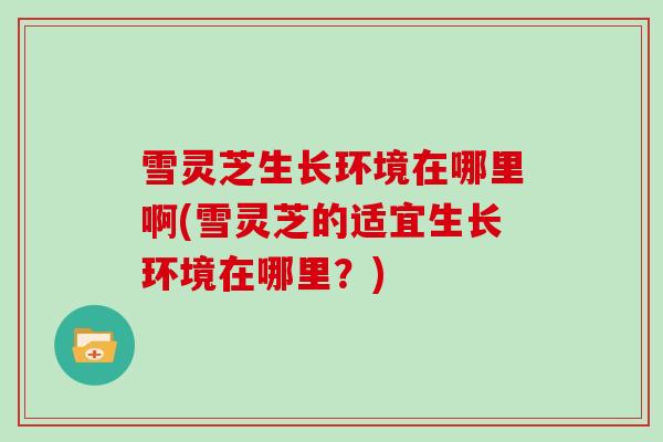 雪灵芝生长环境在哪里啊(雪灵芝的适宜生长环境在哪里?)-第1张图片-灵芝大师 雪灵芝生长环境在哪里啊(雪灵芝的适宜生长环境在哪里?)-第1张图片-灵芝大师