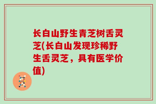 长白山野生青芝树舌灵芝(长白山发现珍稀野生舌灵芝，具有医学价值)