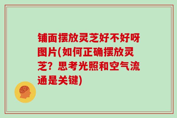 铺面摆放灵芝好不好呀图片(如何正确摆放灵芝？思考光照和空气流通是关键)