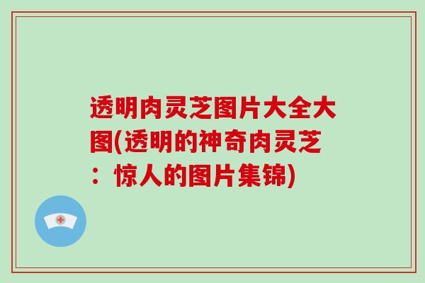 透明肉灵芝图片大全大图(透明的神奇肉灵芝：惊人的图片集锦)