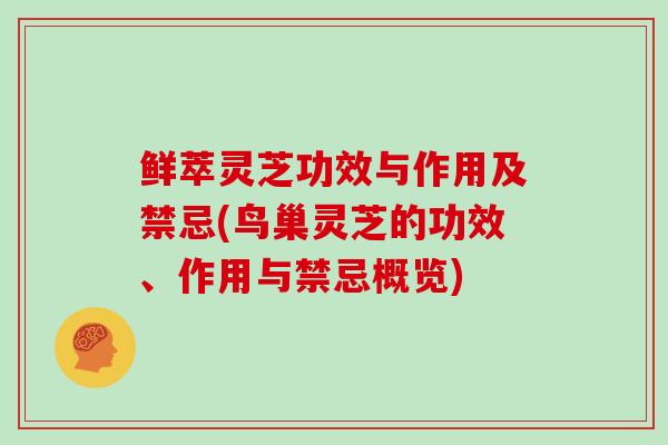 鲜萃灵芝功效与作用及禁忌(鸟巢灵芝的功效、作用与禁忌概览)