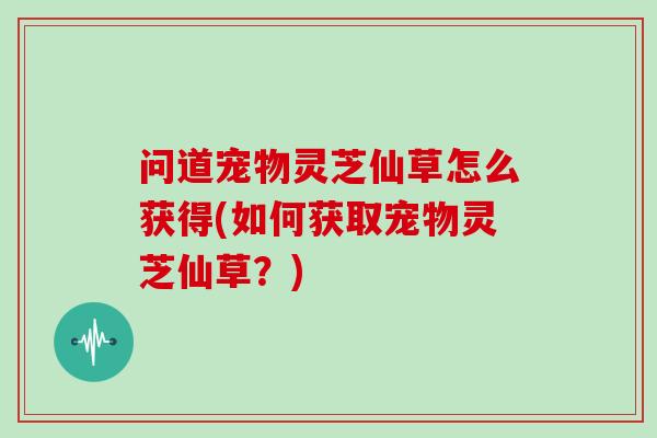 问道宠物灵芝仙草怎么获得(如何获取宠物灵芝仙草？)