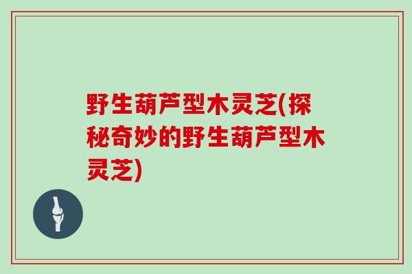 野生葫芦型木灵芝(探秘奇妙的野生葫芦型木灵芝)