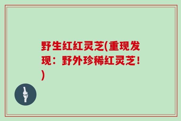 野生红红灵芝(重现发现：野外珍稀红灵芝！)