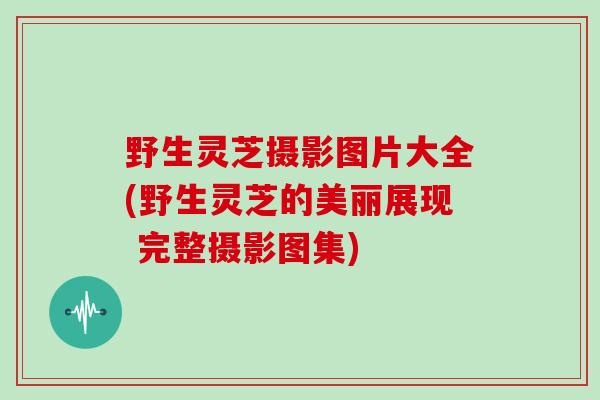 野生灵芝摄影图片大全(野生灵芝的美丽展现 完整摄影图集)