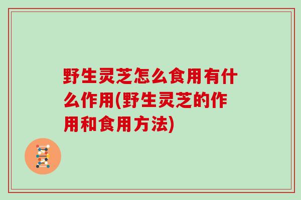 野生灵芝怎么食用有什么作用(野生灵芝的作用和食用方法)