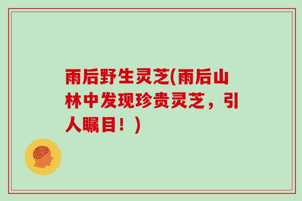 雨后野生灵芝(雨后山林中发现珍贵灵芝，引人瞩目！)