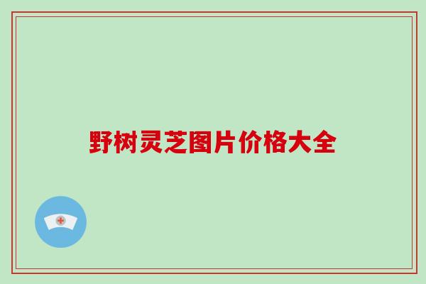 野树灵芝图片价格大全