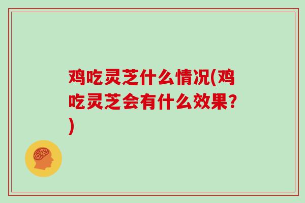 鸡吃灵芝什么情况(鸡吃灵芝会有什么效果？)