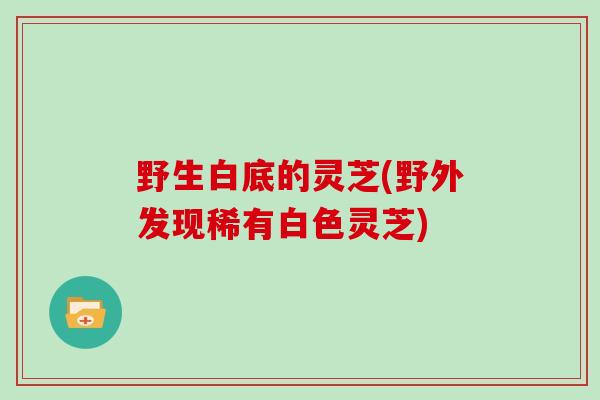 野生白底的灵芝(野外发现稀有白色灵芝)-第1张图片-灵芝大师 野生白底的灵芝(野外发现稀有白色灵芝)-第1张图片-灵芝大师
