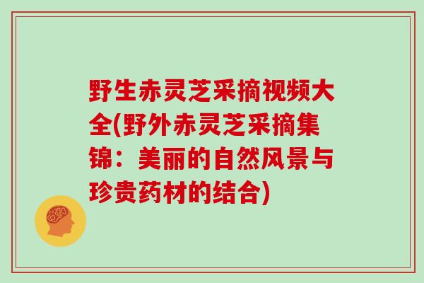 野生赤灵芝采摘视频大全(野外赤灵芝采摘集锦:美丽的自然风景与珍贵药材的结合)-第1张图片-灵芝大师 野生赤灵芝采摘视频大全(野外赤灵芝采摘集锦:美丽的自然风景与珍贵药材的结合)-第1张图片-灵芝大师