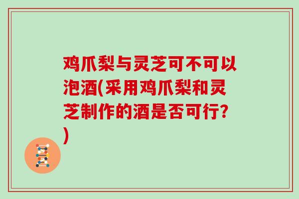 鸡爪梨与灵芝可不可以泡酒(采用鸡爪梨和灵芝制作的酒是否可行？)