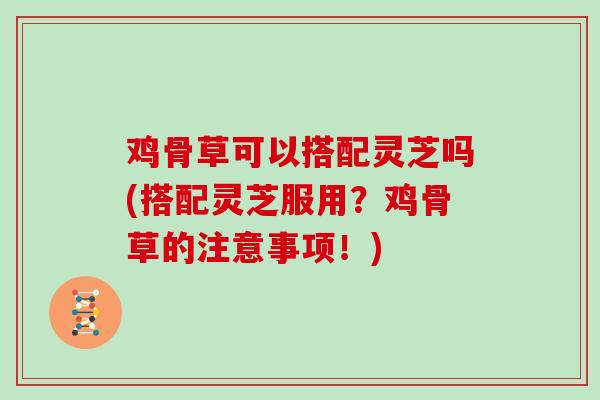 鸡骨草可以搭配灵芝吗(搭配灵芝服用？鸡骨草的注意事项！)