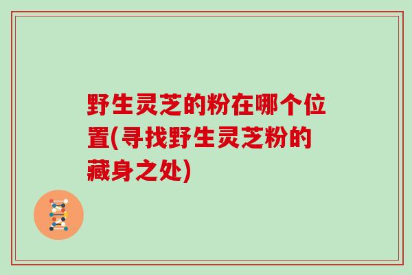 野生灵芝的粉在哪个位置(寻找野生灵芝粉的藏身之处)
