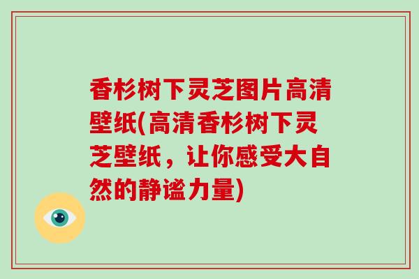 香杉树下灵芝图片高清壁纸(高清香杉树下灵芝壁纸，让你感受大自然的静谧力量)