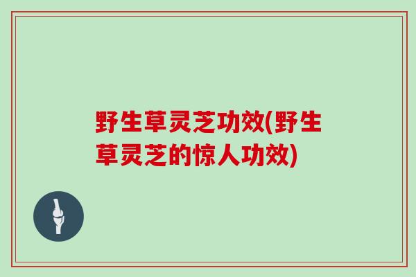 野生草灵芝功效(野生草灵芝的惊人功效)-第1张图片-灵芝大师 野生草灵芝功效(野生草灵芝的惊人功效)-第1张图片-灵芝大师