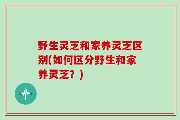 野生灵芝和家养灵芝区别(如何区分野生和家养灵芝？)