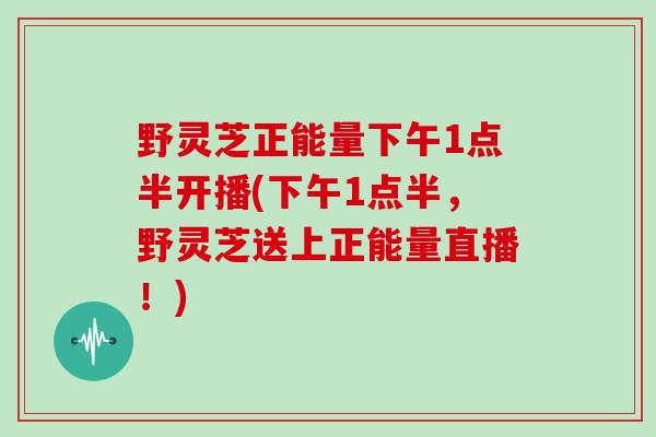 野灵芝正能量下午1点半开播(下午1点半，野灵芝送上正能量直播！)