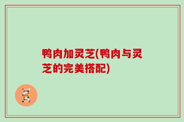 鸭肉加灵芝(鸭肉与灵芝的完美搭配)