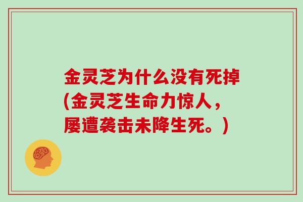 金灵芝为什么没有死掉(金灵芝生命力惊人，屡遭袭击未降生死。)