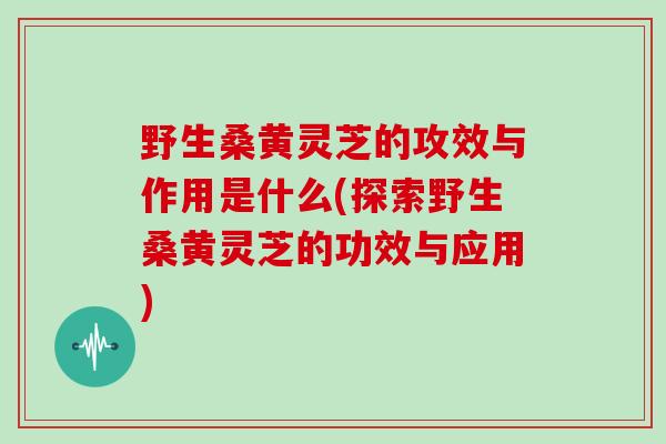 野生桑黄灵芝的攻效与作用是什么(探索野生桑黄灵芝的功效与应用)