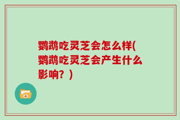 鹦鹉吃灵芝会怎么样(鹦鹉吃灵芝会产生什么影响？)