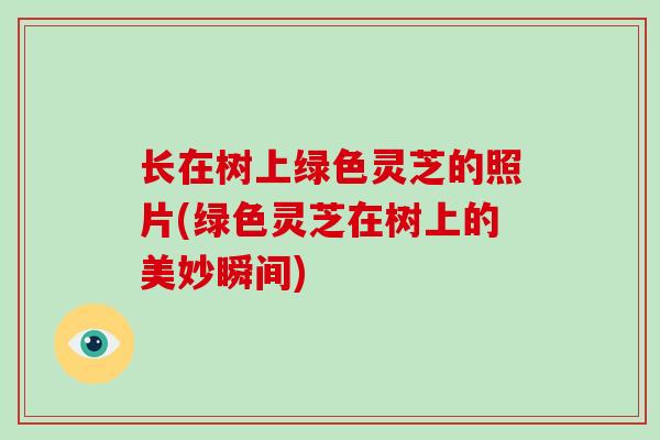 长在树上绿色灵芝的照片(绿色灵芝在树上的美妙瞬间)