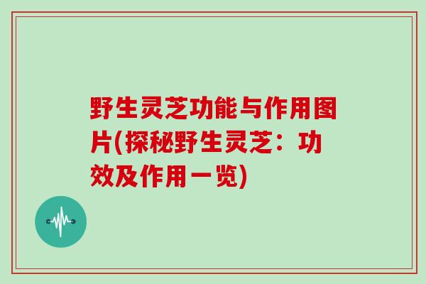 野生灵芝功能与作用图片(探秘野生灵芝:功效及作用一览)-第1张图片-灵芝大师 野生灵芝功能与作用图片(探秘野生灵芝:功效及作用一览)-第1张图片-灵芝大师