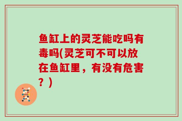 鱼缸上的灵芝能吃吗有毒吗(灵芝可不可以放在鱼缸里,有没有危害?)-第1张图片-灵芝大师 鱼缸上的灵芝能吃吗有毒吗(灵芝可不可以放在鱼缸里,有没有危害?)-第1张图片-灵芝大师