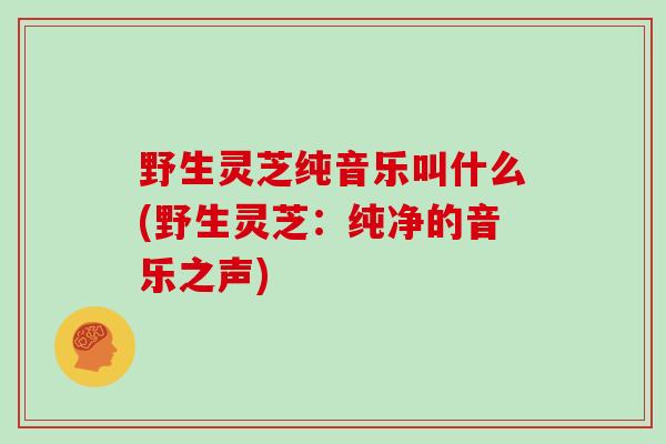 野生灵芝纯音乐叫什么(野生灵芝：纯净的音乐之声)